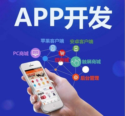 淘小鋪系統軟件開發與移動互聯網APP技術開發的融合創新