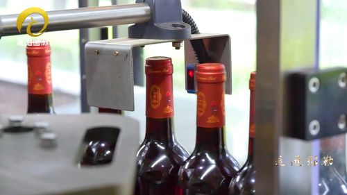 走進(jìn)彌勒 走進(jìn)彌勒的紅酒莊 醉在美酒與美景中