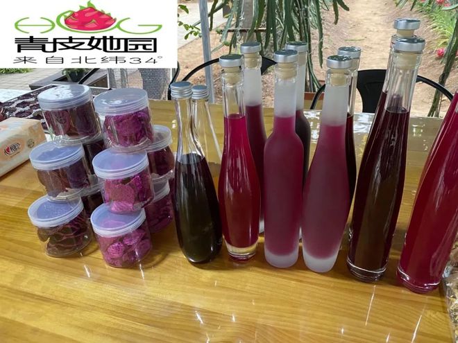 王艷:大膽開拓 創(chuàng)新火龍果&ldquo;南果北種&rdquo;產業(yè)鏈新模式