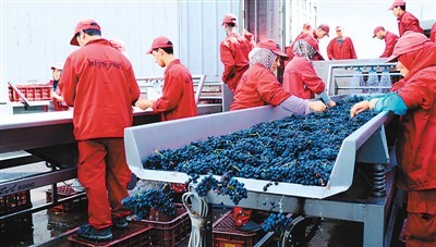 首屆國際進(jìn)博會(huì) 全球葡萄酒買家新天堂