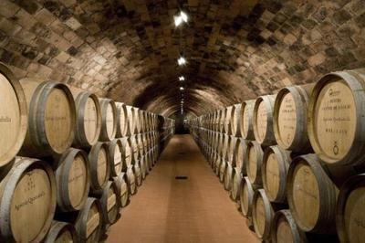 82年的拉菲為何至今仍有售？解析葡萄酒產量與市場流通的奧秘